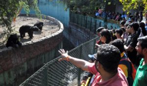 Indore zoo indore talk