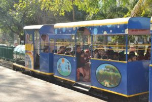 Kamla Nehru Park indore talk 01